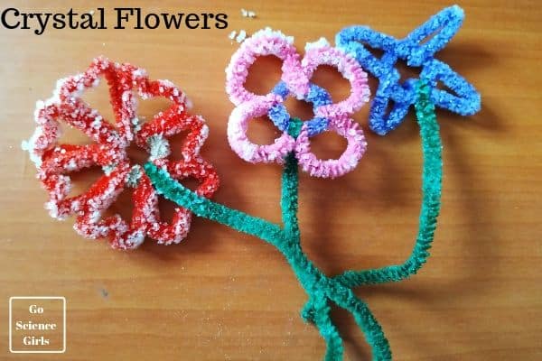 DIY Borax Crystal Flowers - Go Science Girls